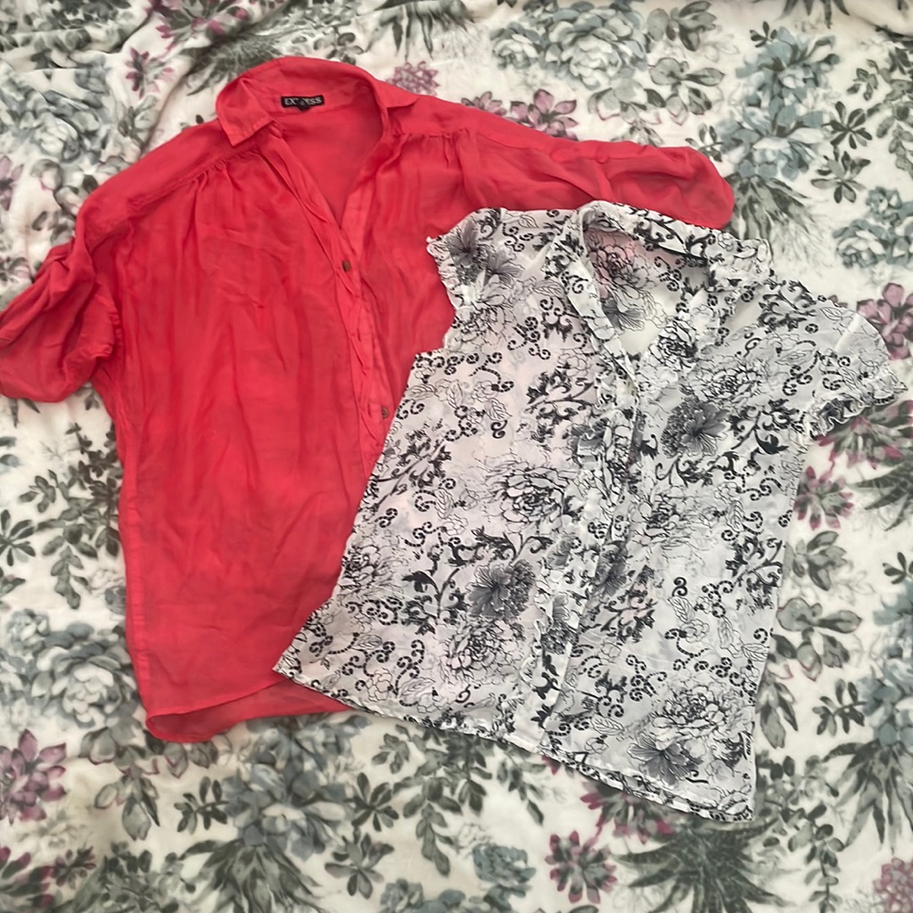 Two Work Shorts. Button Down